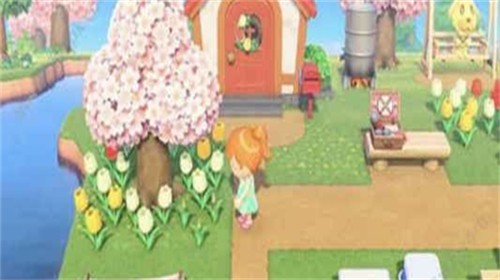 pocketcamp