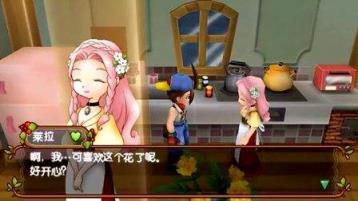 牧场物语砂糖村和大家的心愿