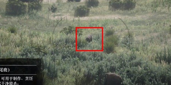 《荒野大镖客2》完美鹿皮获取位置