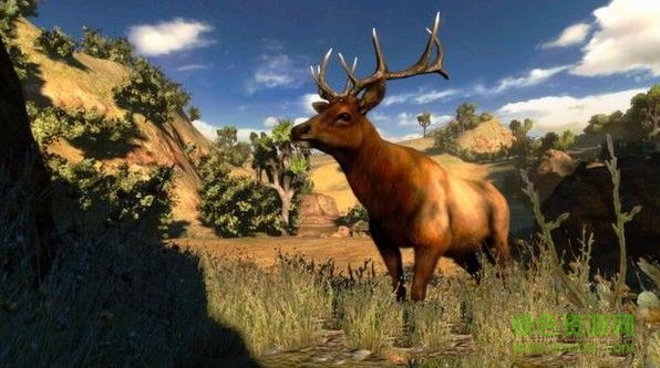 坎贝拉北美历险记