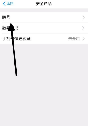 支付宝如何设置暗号