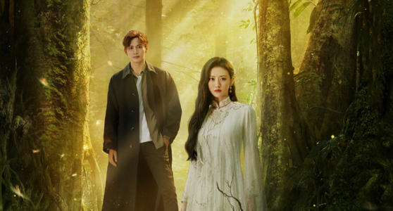 看司藤电视剧的软件有哪些