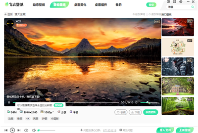 飞火动态壁纸绿色版