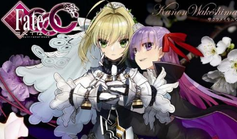 命运之夜新章美版