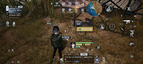 《黎明觉醒》野外的小猫任务如何完成?