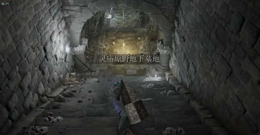 艾尔登法环灵庙原野地下墓室位置攻略