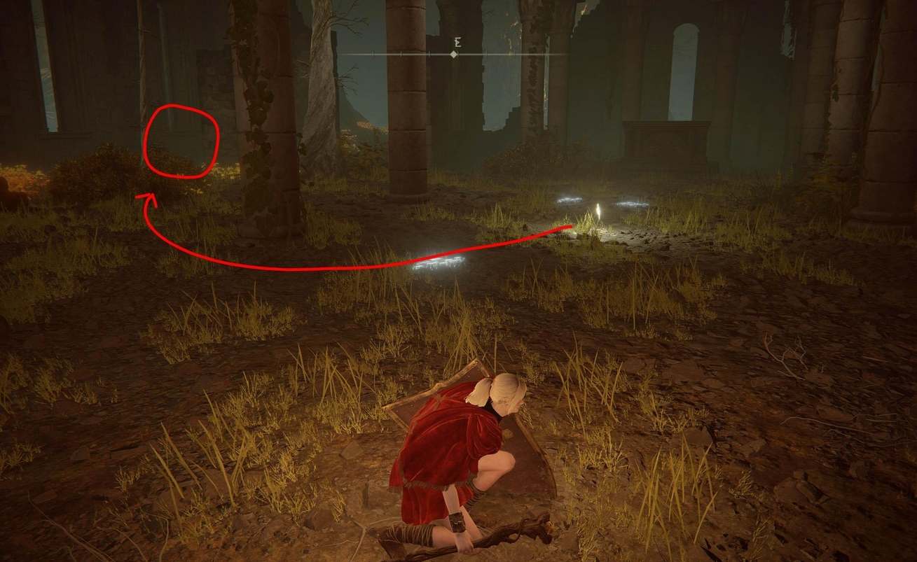 艾尔登法环dlc调香瓶流派配置攻略