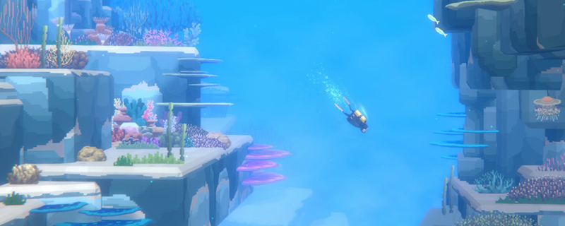 潜水员戴夫冰鳐捕捉方法介绍