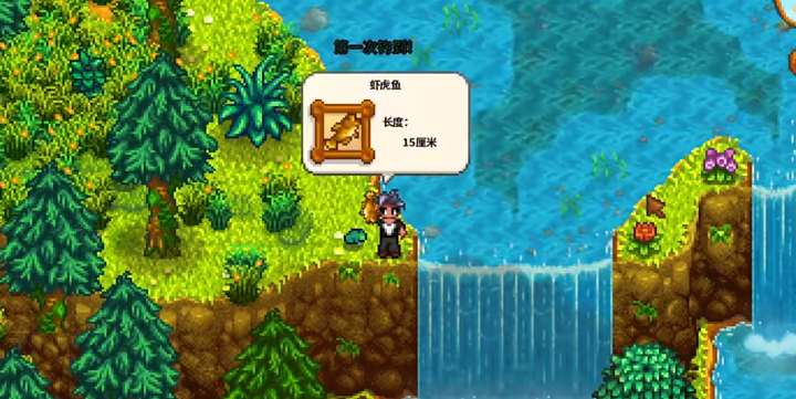 星露谷物语虾虎鱼什么季节钓