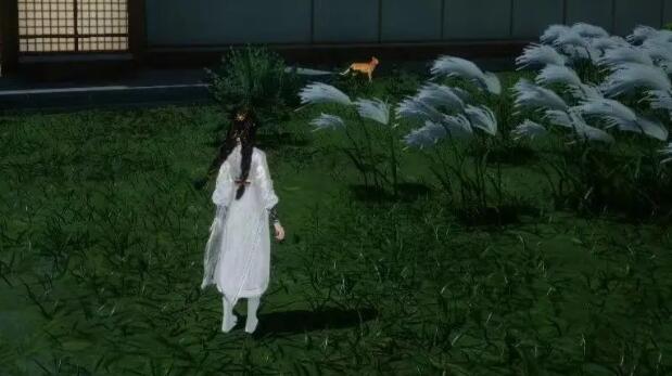 射雕手游无定坊猛兽献宝位置在哪