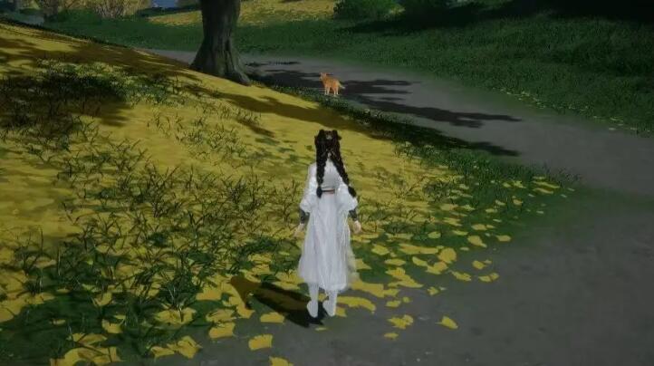 射雕手游无定坊猛兽献宝位置在哪