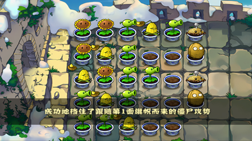 植物大战僵尸中国馆内置版阵容搭配推荐4