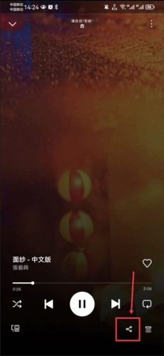 Spotify付费破解中文版图片13
