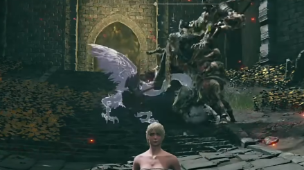 艾尔登法环黄金树幽影守墓鸟骨灰怎么样