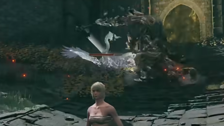 艾尔登法环黄金树幽影守墓鸟骨灰怎么样