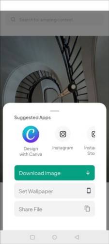 pexels素材中文版官方图片4