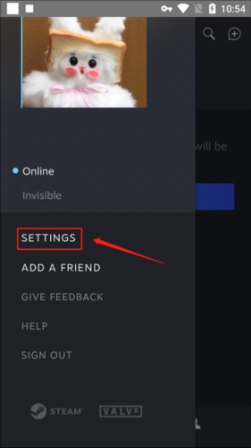 steam聊天app怎么调中文图片2