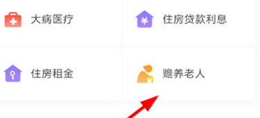 个人所得税专项扣除赡养老人怎么填写