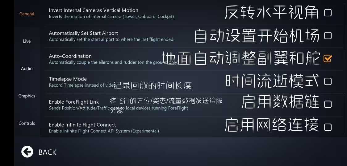 Infinite Flight