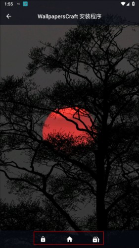 wallpaper4K安卓版图片8