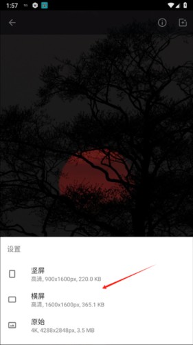 wallpaper4K安卓版图片7