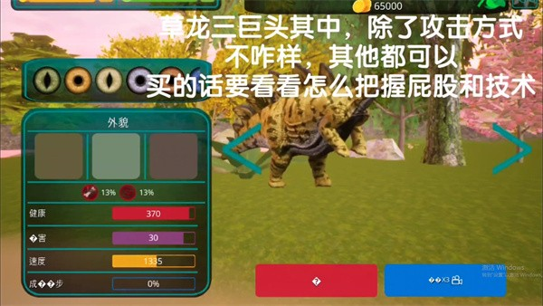 诅咒之岛2025