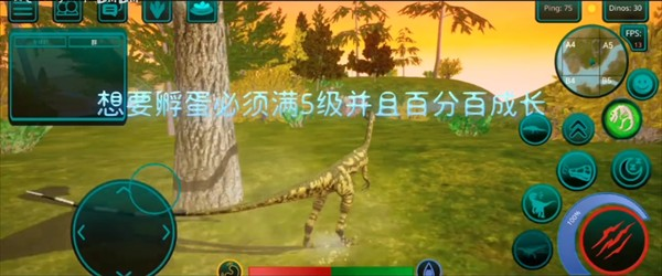 诅咒之岛2025