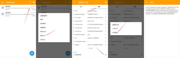 httpCanary9.9.9.9