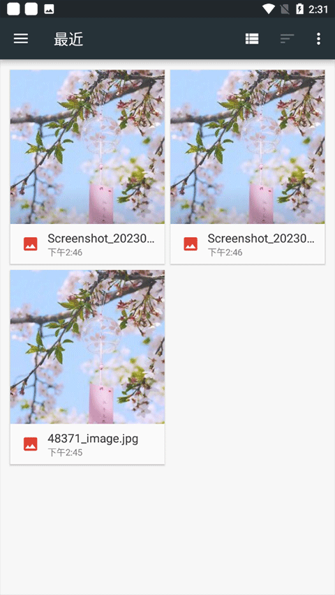 photoeditor照片编辑器