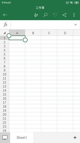 Microsoft Excel3
