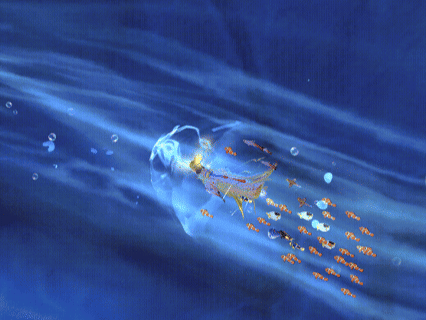 《创造与魔法》暑假版本“龙墟初谒”地图&副本分享