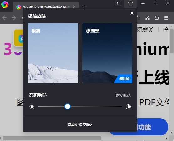 360浏览器XP加固专版