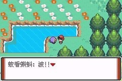 口袋妖怪特别篇赤8