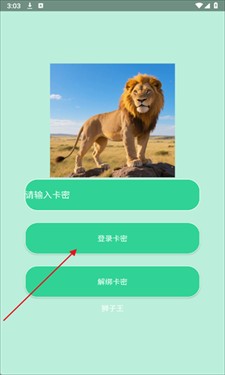 狮子王直装2.0(无卡密)