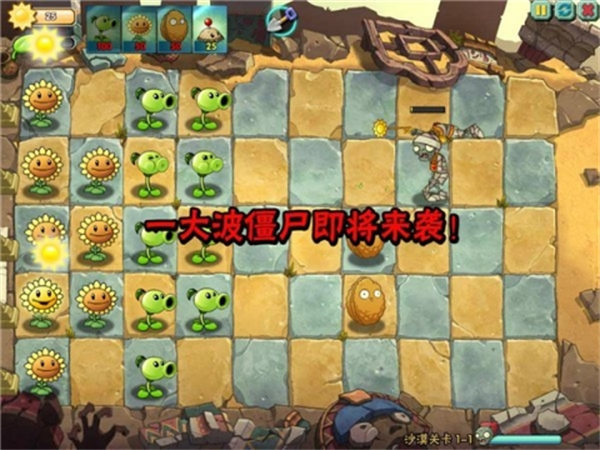 植物大战僵尸失望支线