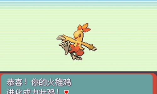 口袋妖怪究极绿宝石魔法棒版