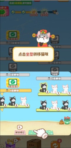 喵喵招财