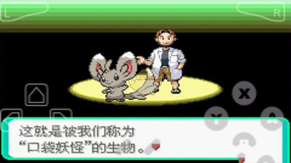 口袋妖怪漆黑的魅影50exbw