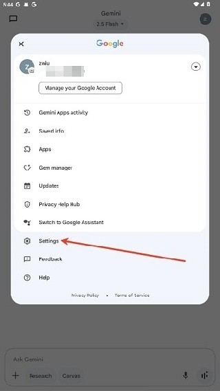 gemini3.0
