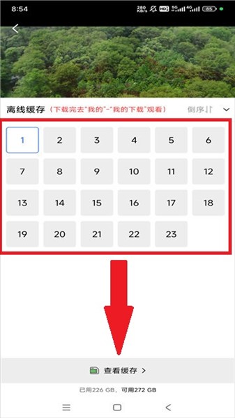 白云视频追剧