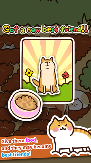猫咪田园