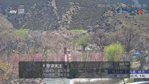 春盈天下