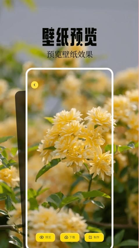 火花壁纸