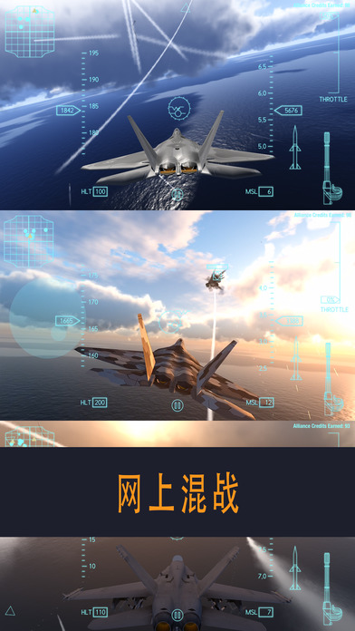 空舞雄鹰