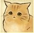 猫咪天堂4