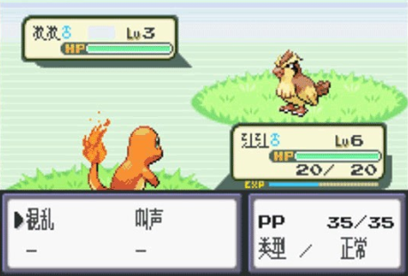 口袋妖怪火红叶绿