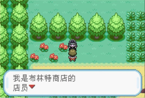 口袋妖怪火红叶绿