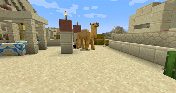 怎么寻找骆驼和嗅探兽