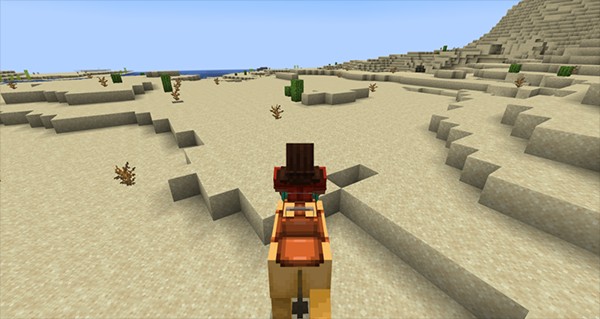 怎么寻找骆驼和嗅探兽