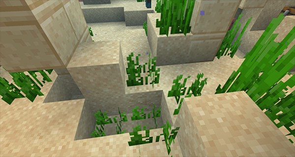 怎么寻找骆驼和嗅探兽